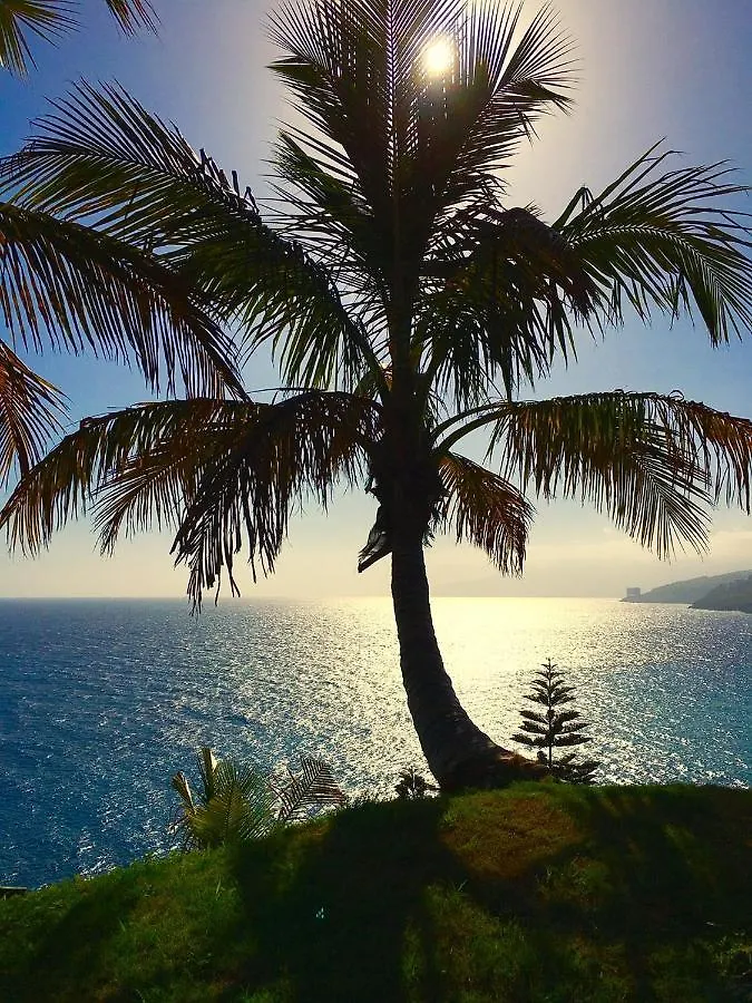 Tenerife Holidays Costa Adeje  Appartamento